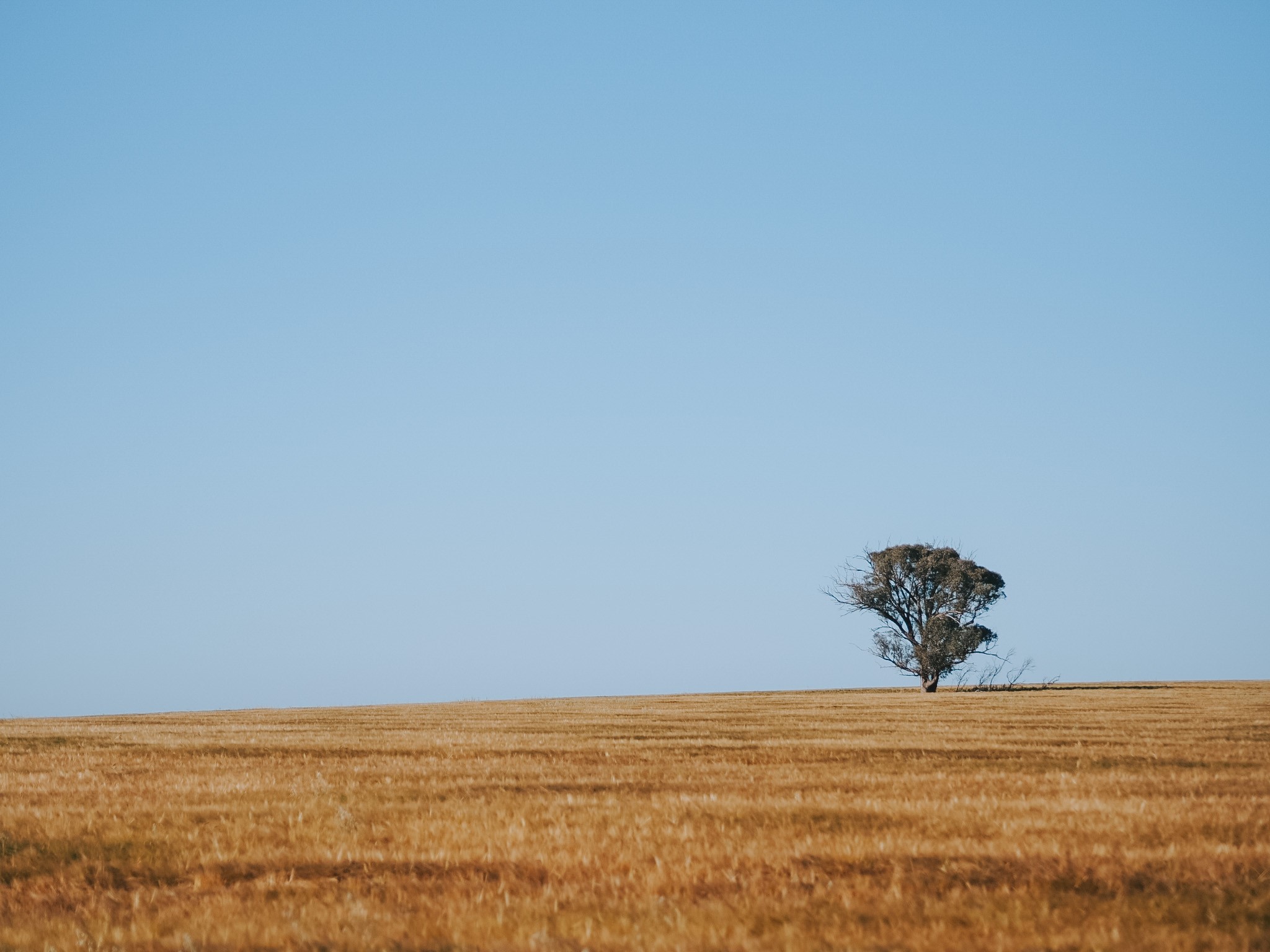 2024 Photo Calendar Competition Berrigan Shire Council