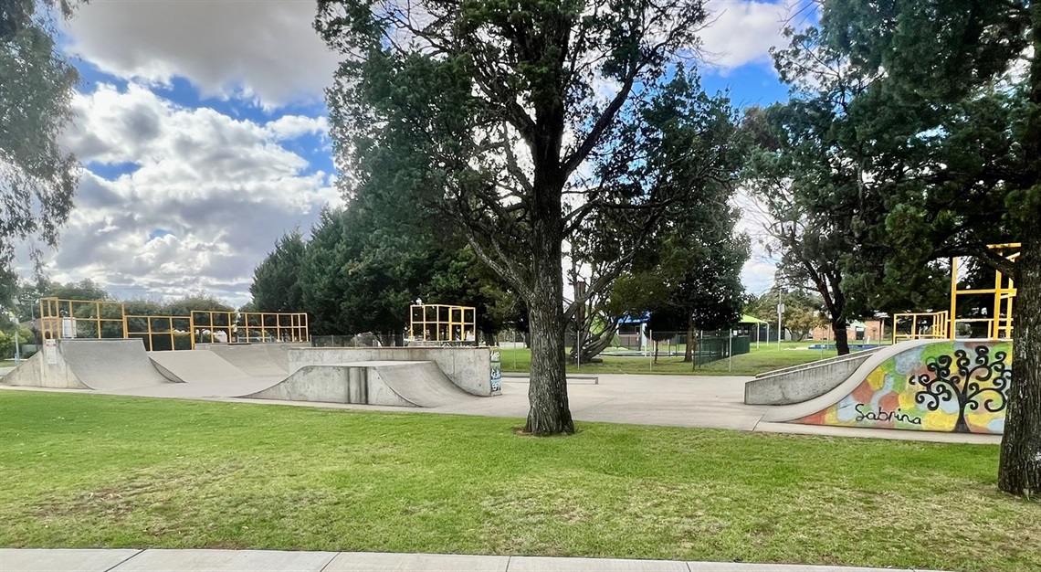 Berrigan_Skate_Park_001.JPG